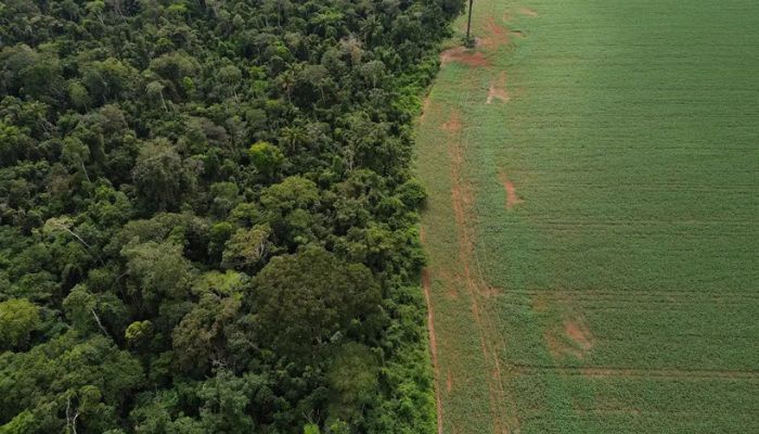  Brasil apresenta soluções de financiamento climático em Nova York 